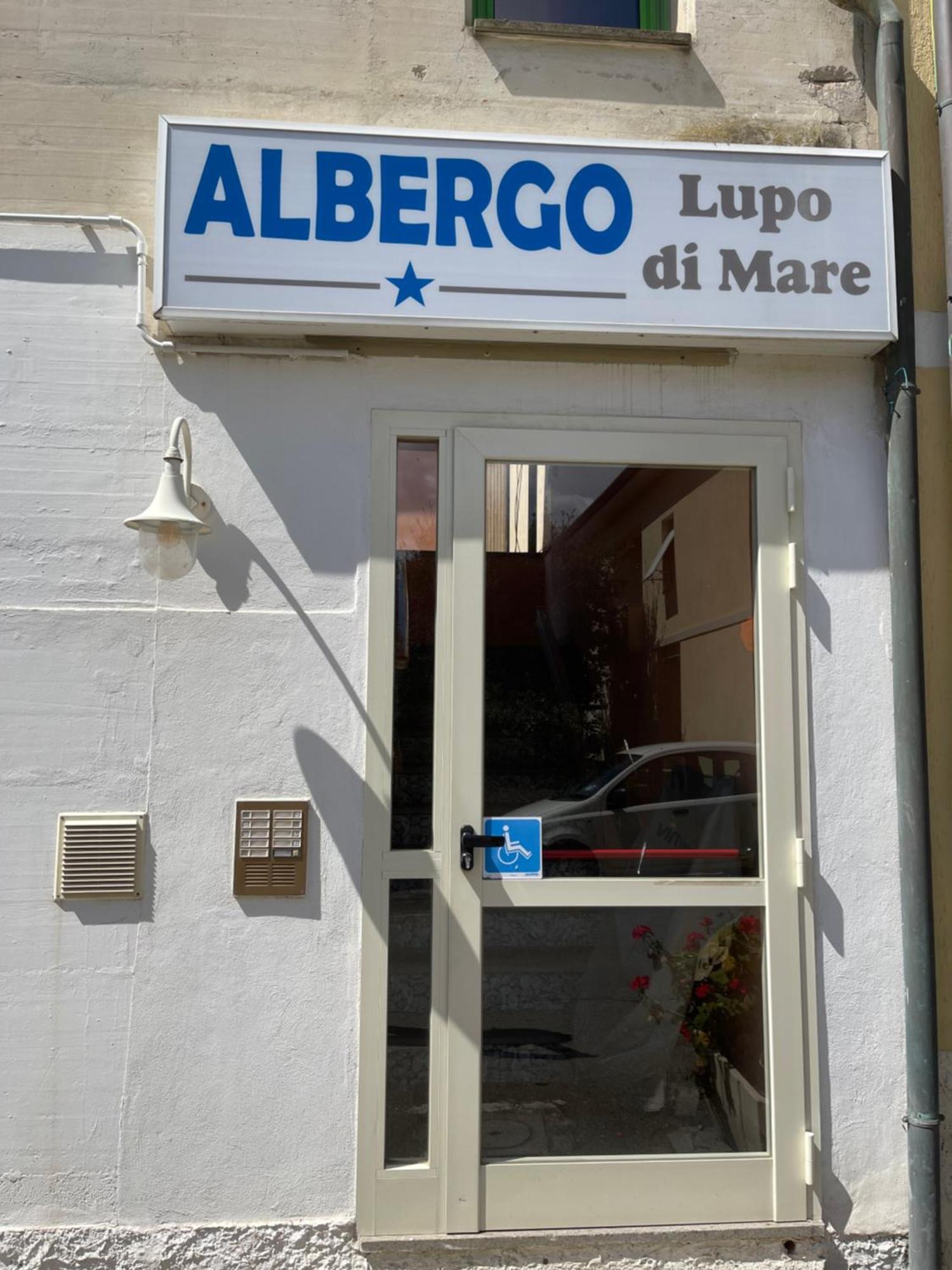Hotel Lupo Di Mare Marina di Castagneto Carducci Bagian luar foto